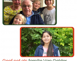 Wat onze peetouders vertellen